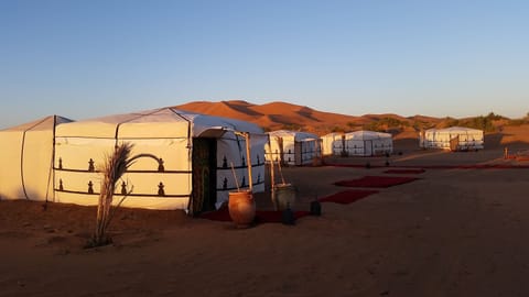 Premium bedding, Select Comfort beds, blackout drapes