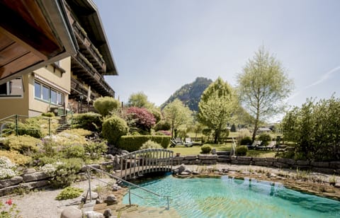 Seasonal outdoor pool, sun loungers