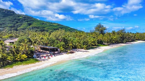 Dinner served, local and international cuisine, beach views 