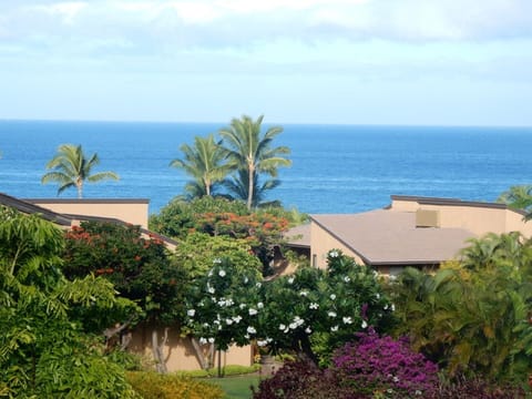View of the ocean from our lanai.  