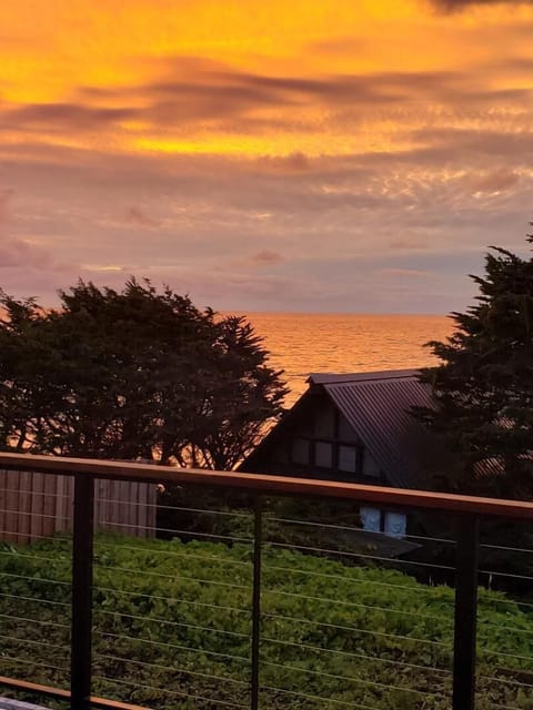 golden sunset - they are all unique