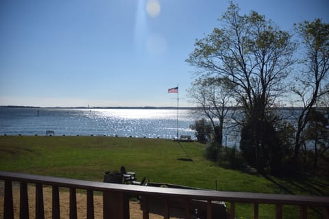 Looking South from the 1st Floor deck