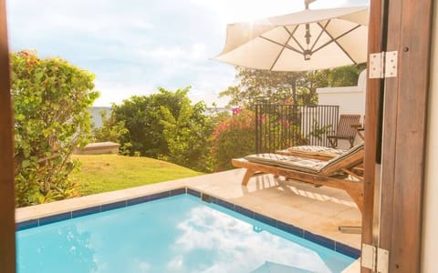 You will love your private plunge pool