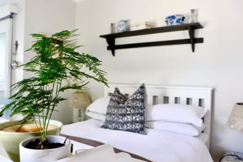 Egyptian cotton sheets, hypo-allergenic bedding, down comforters