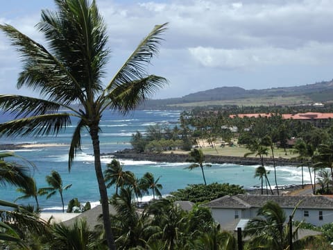 view down the coast of Poipu Beach