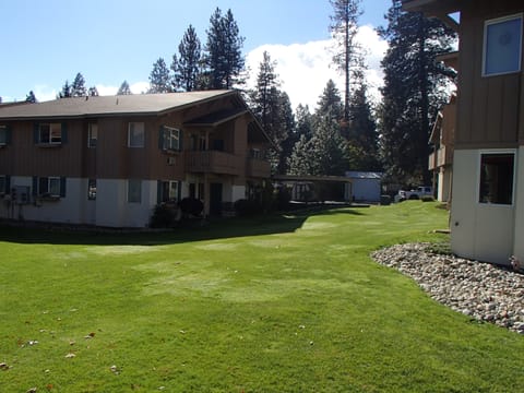 Grassy yard for the kids to play
