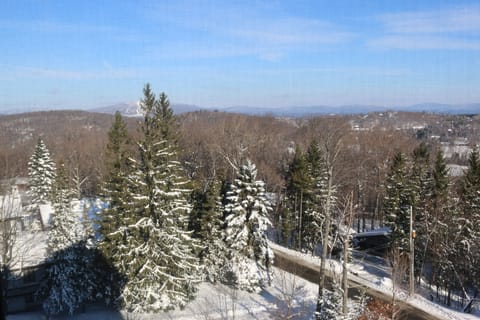 Views from bedroom windows