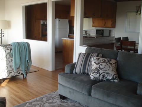 Open living space in kitchen, dining, and living room.