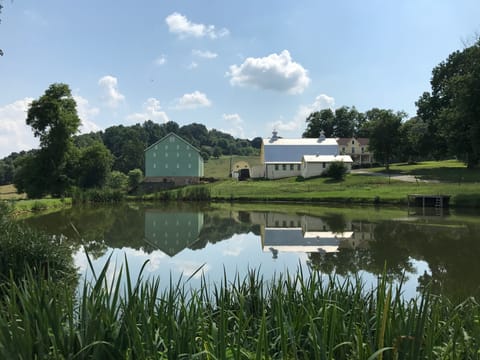 Pictures can't capture how special the farm really is!