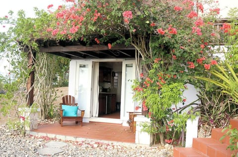 The bougainvillea covers the trellis creating a cool space to relax.