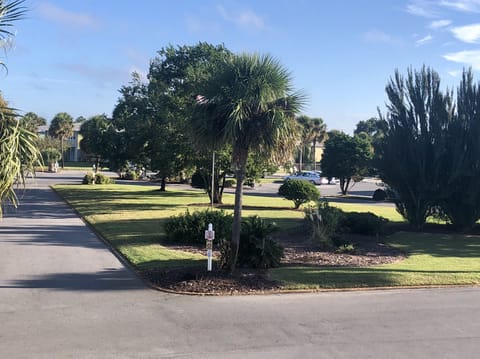View from front entrance. Building 21 to the left.