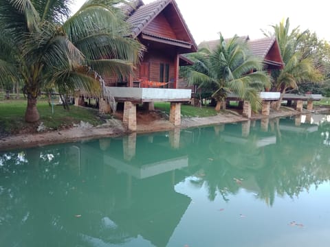 Standard Double Room | Desk, WiFi (free)