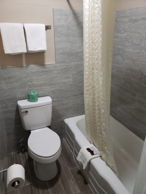 Standard Room, 1 King Bed, Non Smoking | Bathroom | Hair dryer, towels