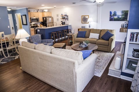 Two sleeper sofas in living room for extra sleeping space