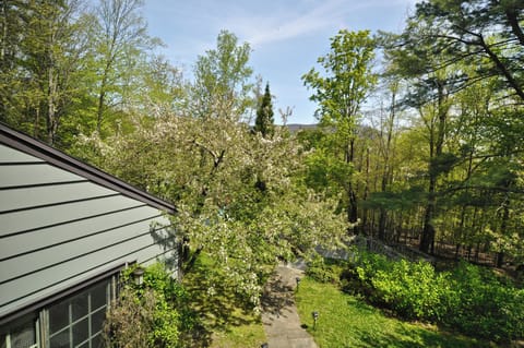 The view from bedroom 3