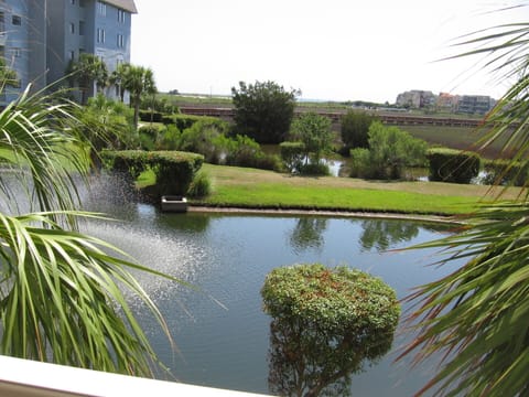 View from the balcony