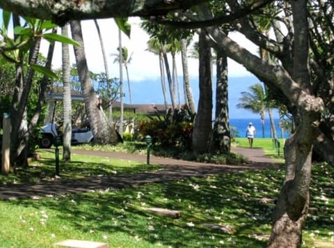 The view from the lanai!