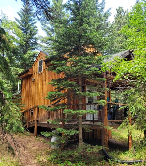 Front of the cabin June 2026