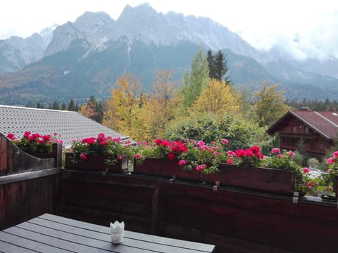 Apartment, Balcony (Hellerkraut) | Balcony view