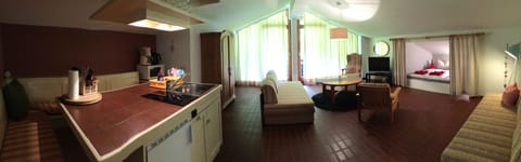 Apartment, Balcony (Spinnwebenhauswurz) | Private kitchen | Fridge, microwave, stovetop, coffee/tea maker