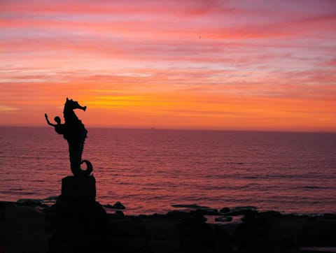 Stay with us and enjoy  many spectacular Puerto Vallarta sunsets.