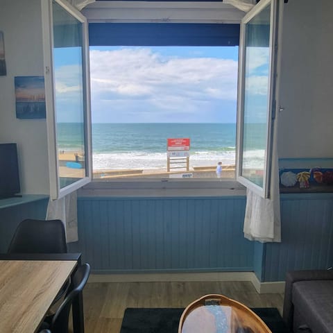 View from living area.