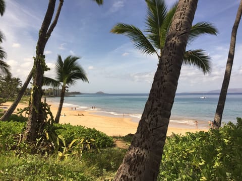 BEACH-Walk to Charley Young Beach across  from condo complex. Swimming & Walking