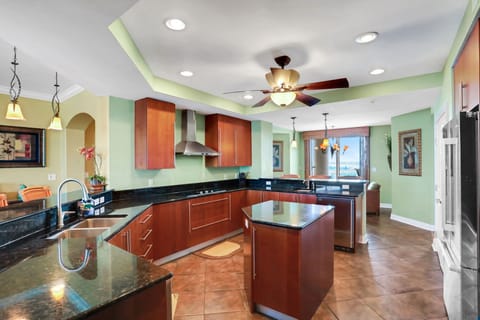 Counter with Sink & Cook Top 