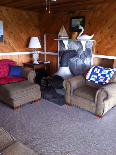 Living Room / Fire place.