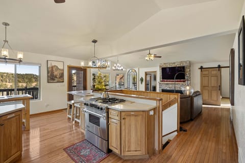 Open Concept Kitchen