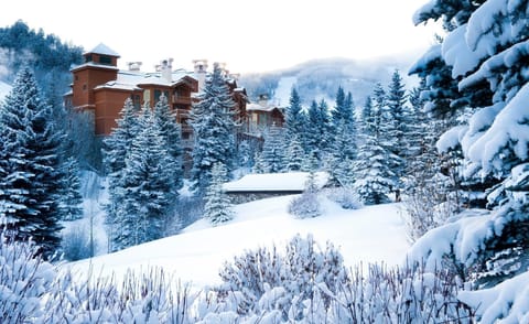 Your next ski vacation starts here.