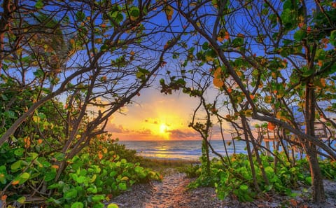 One Love by the Beach
