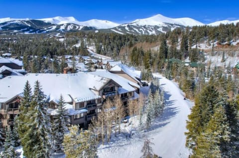 Featuring snow-covered roofs and a winding trail, this peaceful residential neighborhood offers a serene escape in a scenic, winter landscape.