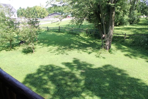 Large yard north of cabin