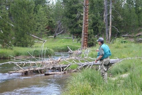Fly fishing in Yellowstone Park.