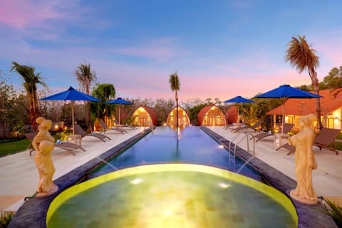 Outdoor pool, sun loungers