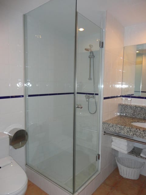 Shower, hair dryer, bidet, towels