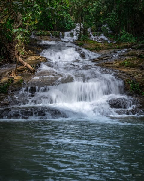 Our backyard! Just steps away Corazon del Rio waterfall & swimming hole