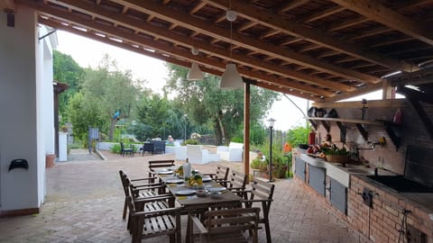 kitchen with oven for pizzas, embers, gas burners, wood-burning grill