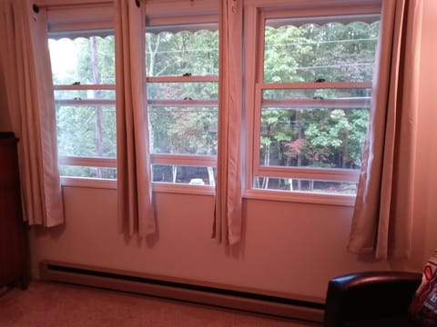 WINDOWS IN MASTER BEDROOM LOOKING OUT TO STREET