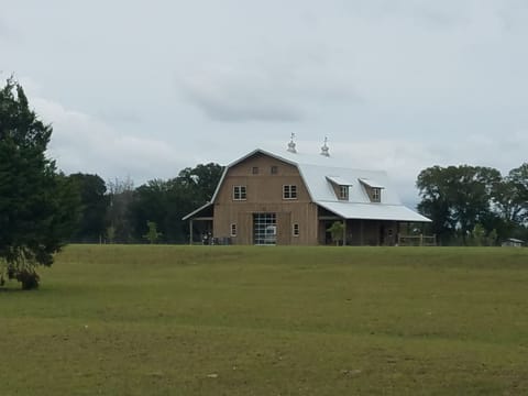 Classy Cattle Farm Experience-Wine and Bovine 