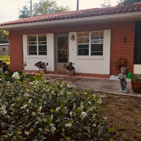 Looking over the top of the night flowering jasmine towards cottage entrance.