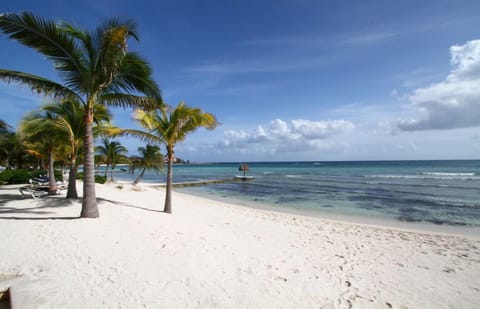 The wonderful beach!!