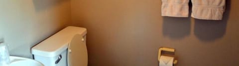 Combined shower/tub, towels