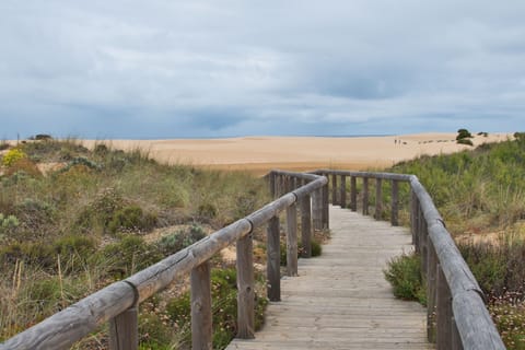By the house you find this wood path to the beach of Bordeira