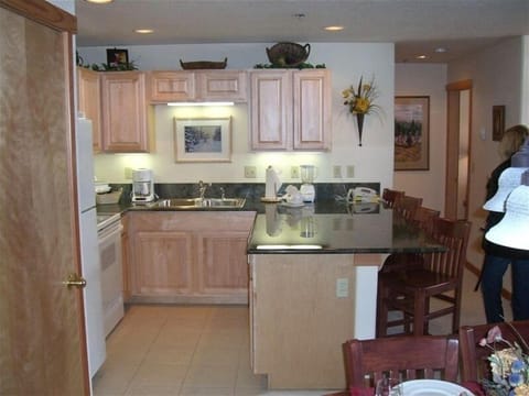 Gourmet Kitchen Area.