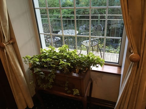 Antique Victorian ivy font overlooking our balcony and River Finnehy