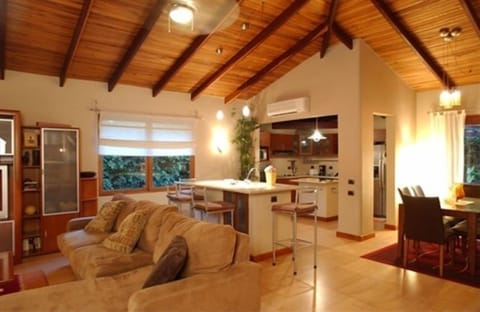 Living room - kitchen