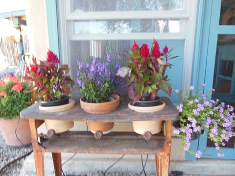 Anything is a planter...