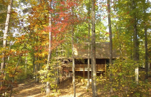 Changing Seasons at Casa Cardinal 